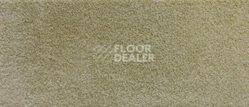 Ковролин Radici Lord Lime 245C фото 1 | FLOORDEALER